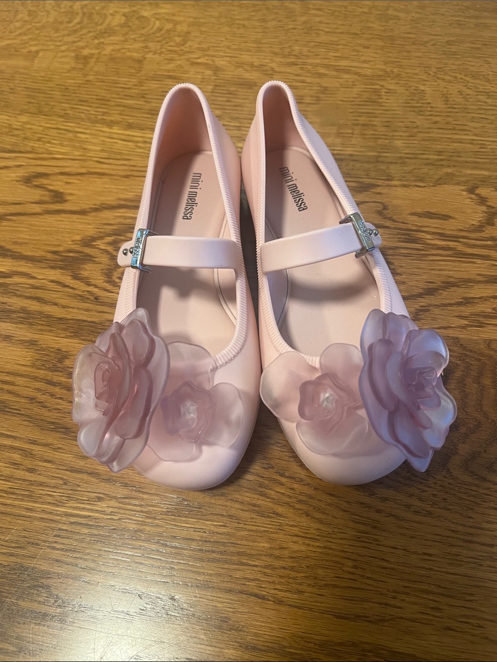 Mini Melissa Pale Pink Mary Jane Shoes with Rose Accents